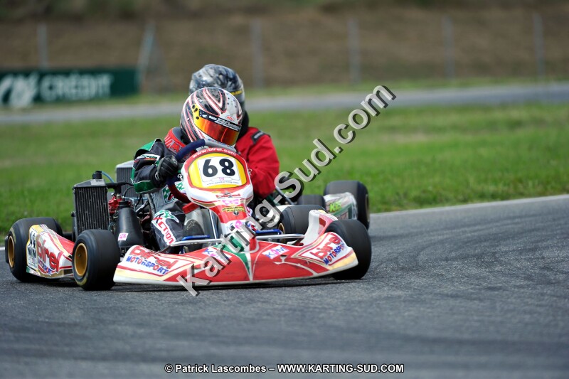 DSC_ (500).jpg